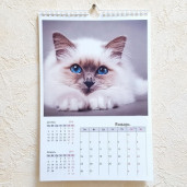 Календарь ПЕРЕКИДНОЙ Фото-Люкс 